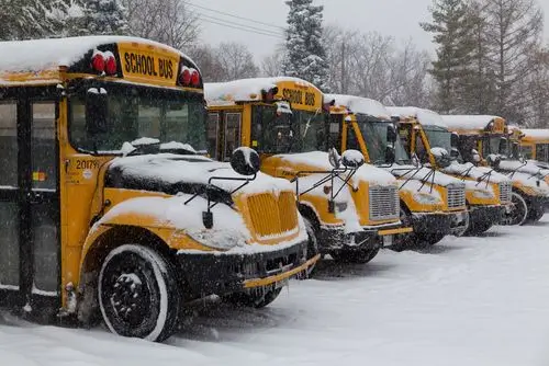 Row of school buses covered in snow.